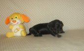 Winnie 3 semaines