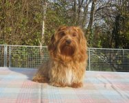 logo article ou rubrique