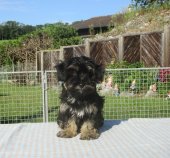 Winnie 3 mois